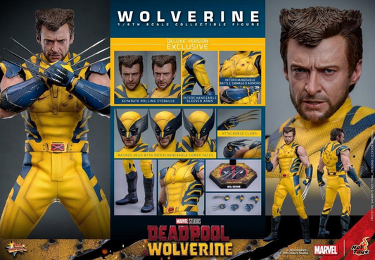 IN STCOK Hot Toys MMS754 Deadpool & Wolverine Wolverine Deluxe version 1/6 NEW