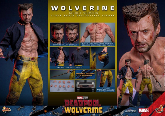 Hottoys HT Deadpool & Wolverine - Wolverine (TVA Jacket Version) (MMS756)