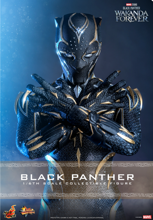 Hot Toys MMS675 Black Panther: Wakanda Forever Black Panther 1/6 Figure NEW